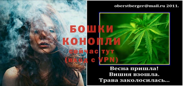 гашик Каменногорск